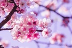 img_0502