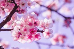 img_0502
